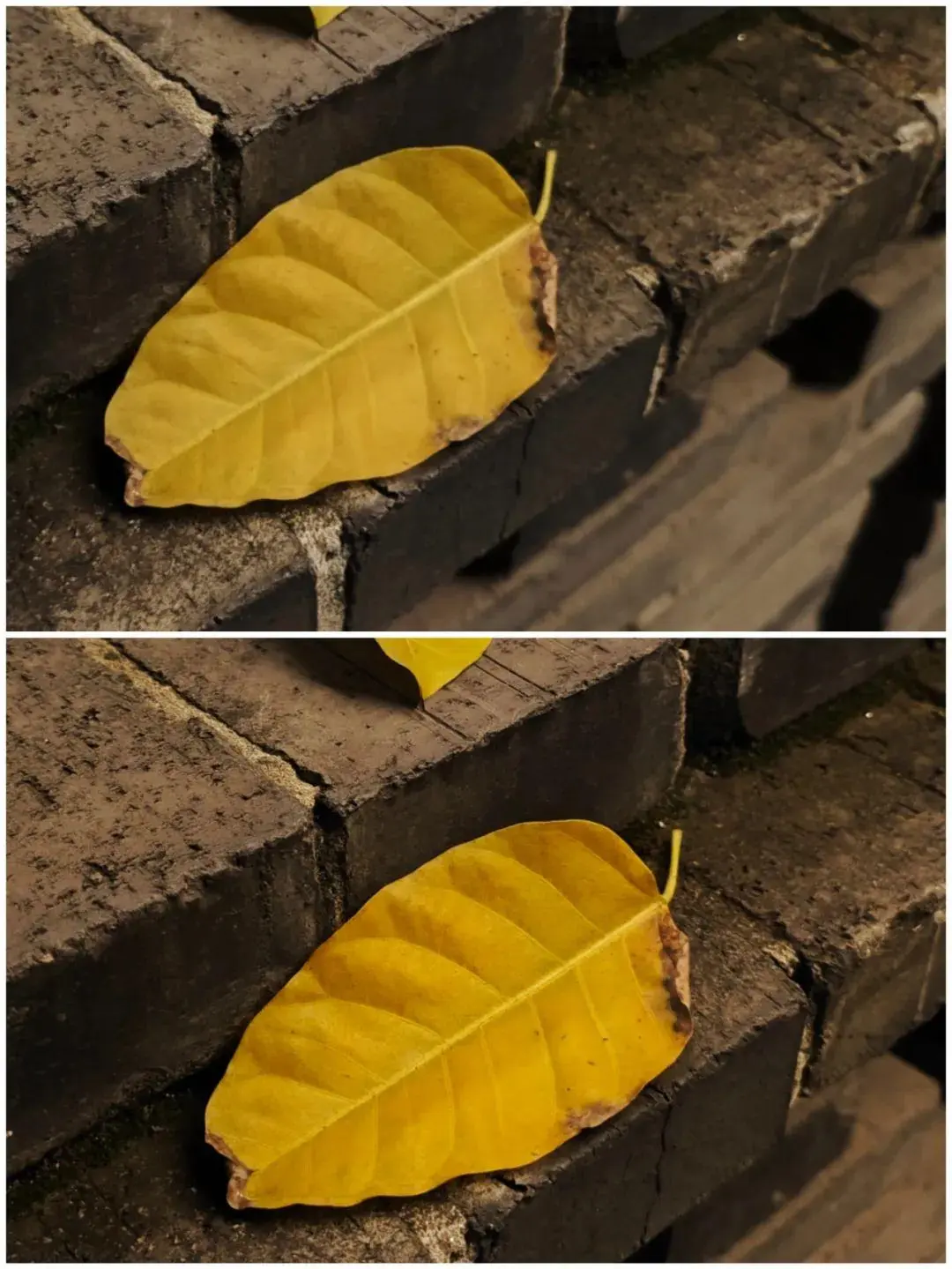 https://img.xinzhonglian.cn/newstatic/35704/077b4f1acdcdbf18.jpg.webp